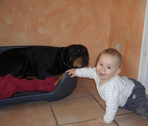 Bild zu