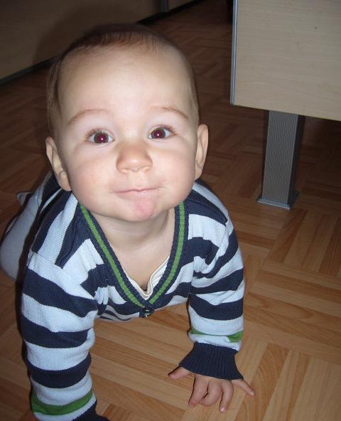 Bild zu