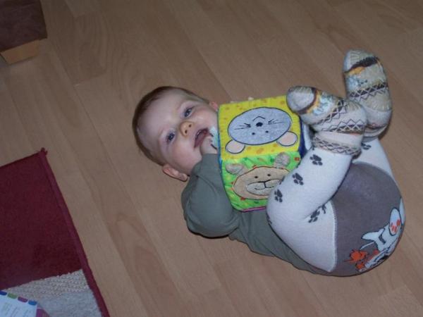 Bild zu
