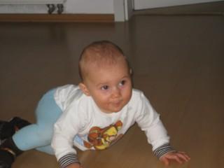 Bild zu 