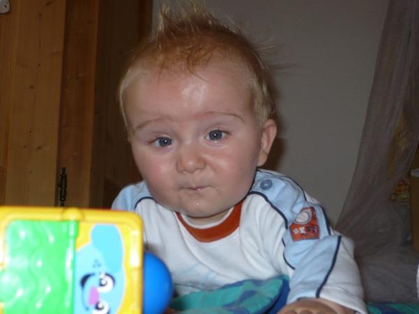 Bild zu 