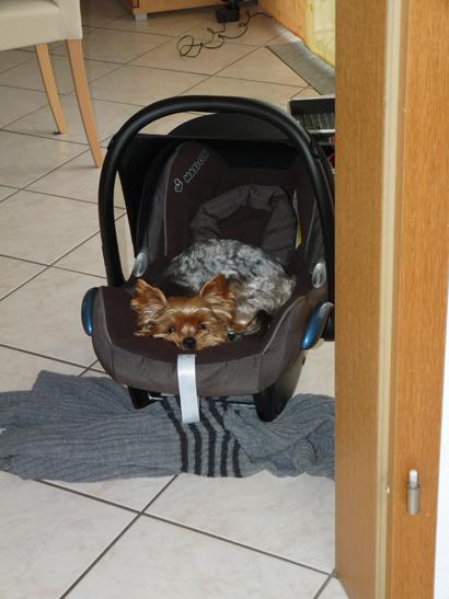 Bild zu 