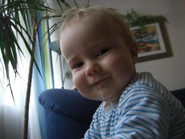Bild zu 