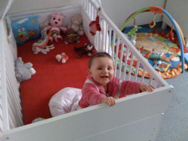 Bild zu