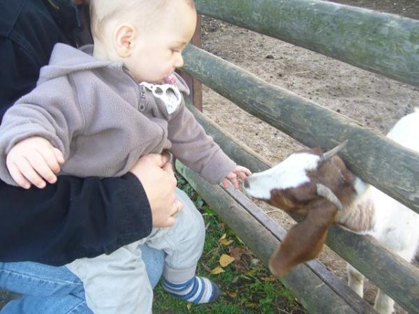 Bild zu 
