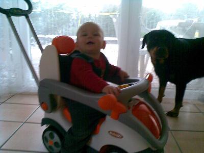 Bild zu 