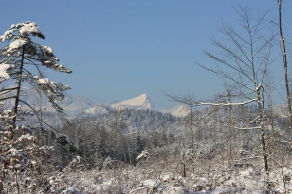 Bild zu Schnee, Schnee und nochmal Schnee... - Forum für Februar - Mamis