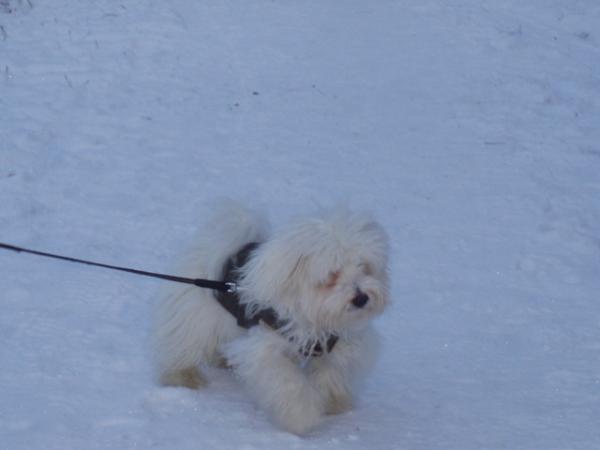 Bild zu 