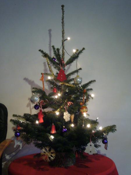 Bild zu Unser Weihnachtsbaum - wehe es lacht jemand - Forum für Februar - Mamis