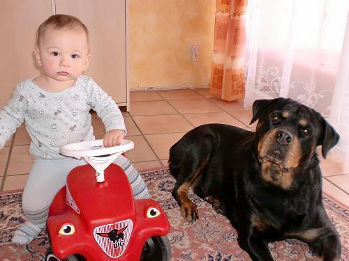 Bild zu Damien und seine pelzige Freundin! - Forum für Februar - Mamis