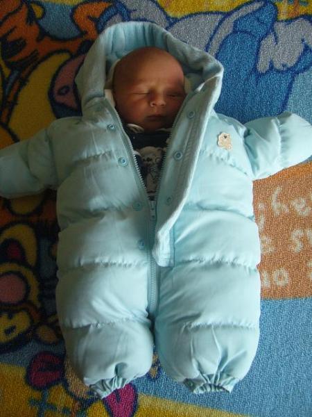 Bild zu 