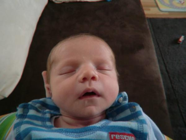 Bild zu Unser Sohn ist da! - Forum für Februar - Mamis