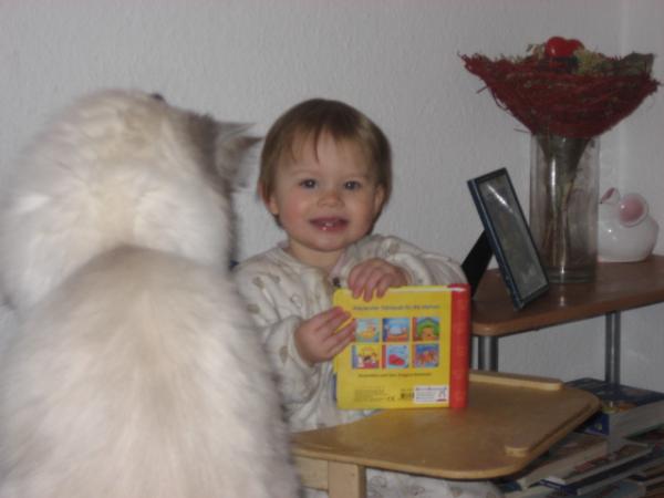 Bild zu