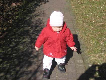 Bild zu 