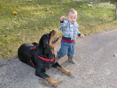 Bild zu 