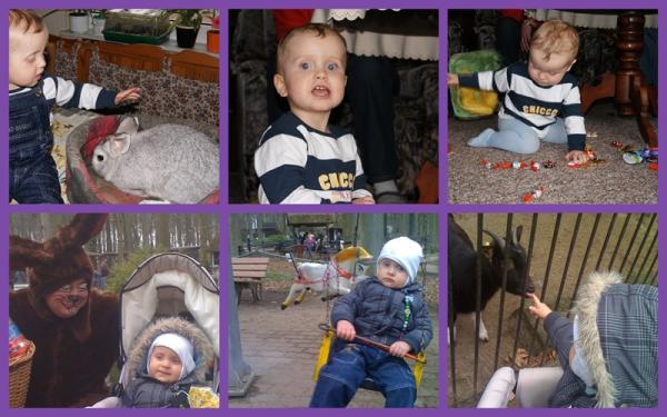 Bild zu So war unser Osterfest! - Forum für Februar - Mamis