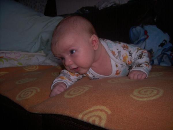Bild zu 