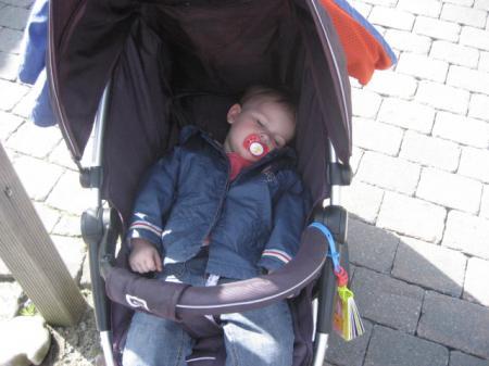 Bild zu