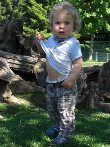 Bild zu
