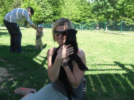 Bild zu