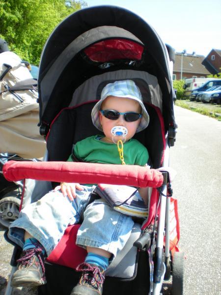 Bild zu