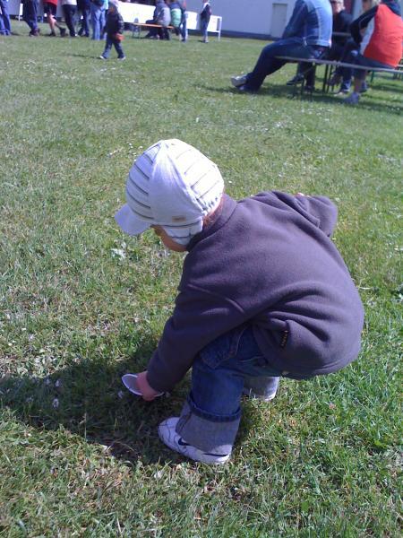 Bild zu 