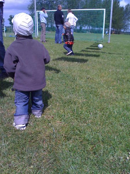 Bild zu 