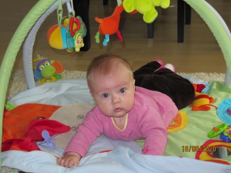 Bild zu