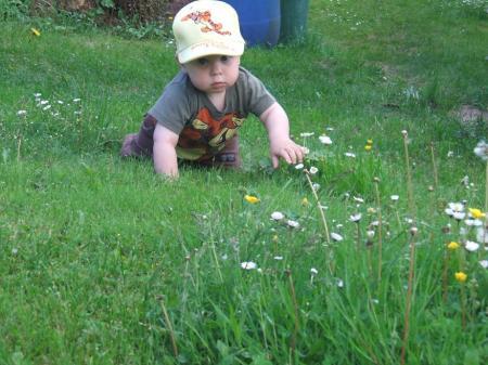 Bild zu