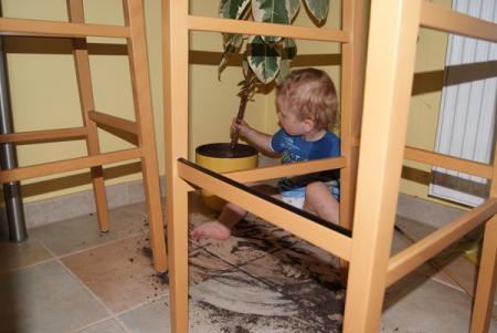 Bild zu 