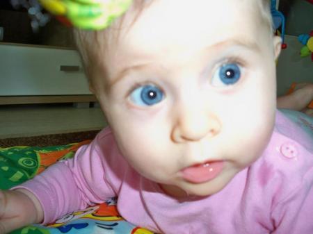 Bild zu 