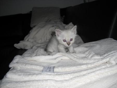 Bild zu 