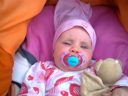 Bild zu 