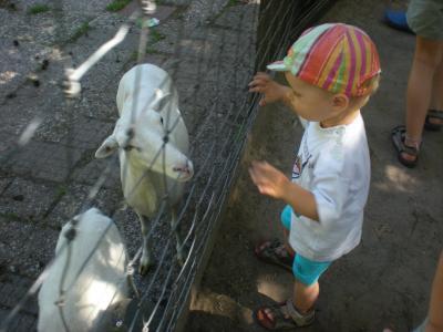 Bild zu Tierpark gestern - Forum für Februar - Mamis