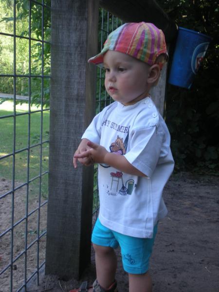 Bild zu 
