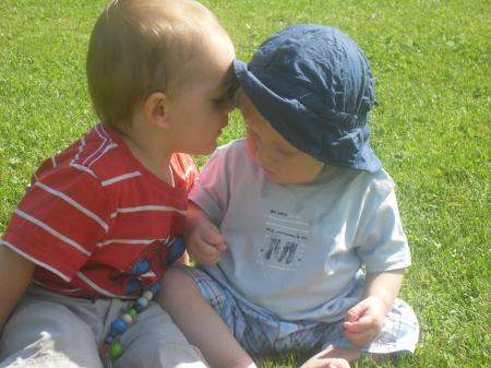 Bild zu 