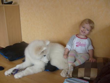 Bild zu 