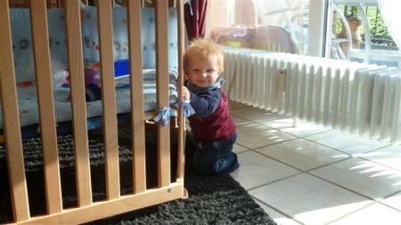 Bild zu