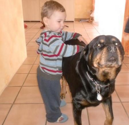Bild zu 