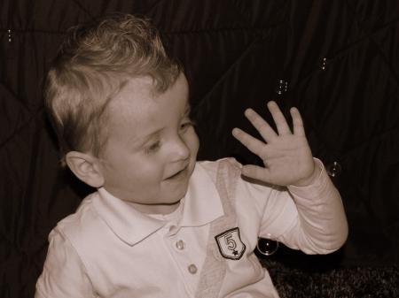 Bild zu