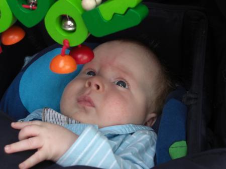 Bild zu