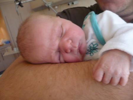 Bild zu