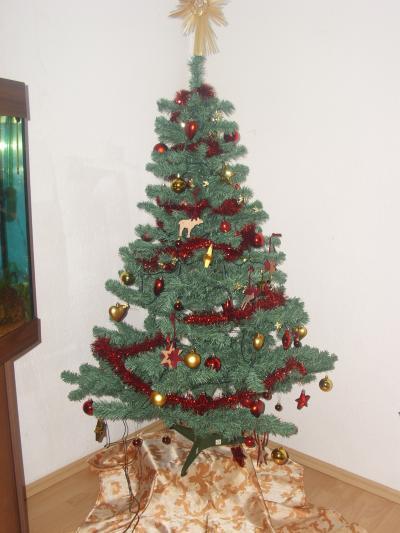 Bild zu Waren die Tage fleißig! Weihnachtsbaum steht schon! - Forum für Februar - Mamis