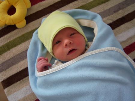 Bild zu 