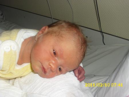 Bild zu 