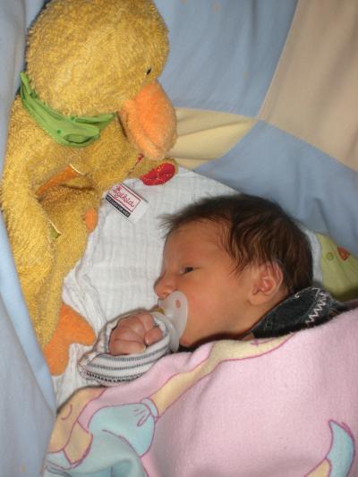 Bild zu Babyliste - Marla ist da!!! - Forum für Februar - Mamis