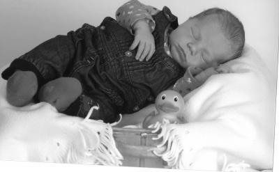 Bild zu die fotos vom fotografen sind da.. - Forum für Februar - Mamis