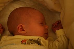 Bild zu 