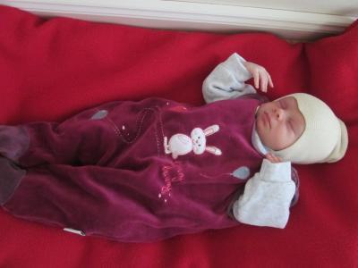 Bild zu Ida Louise - Forum für Februar - Mamis