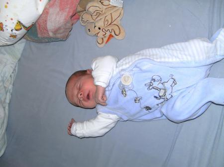 Bild zu 
